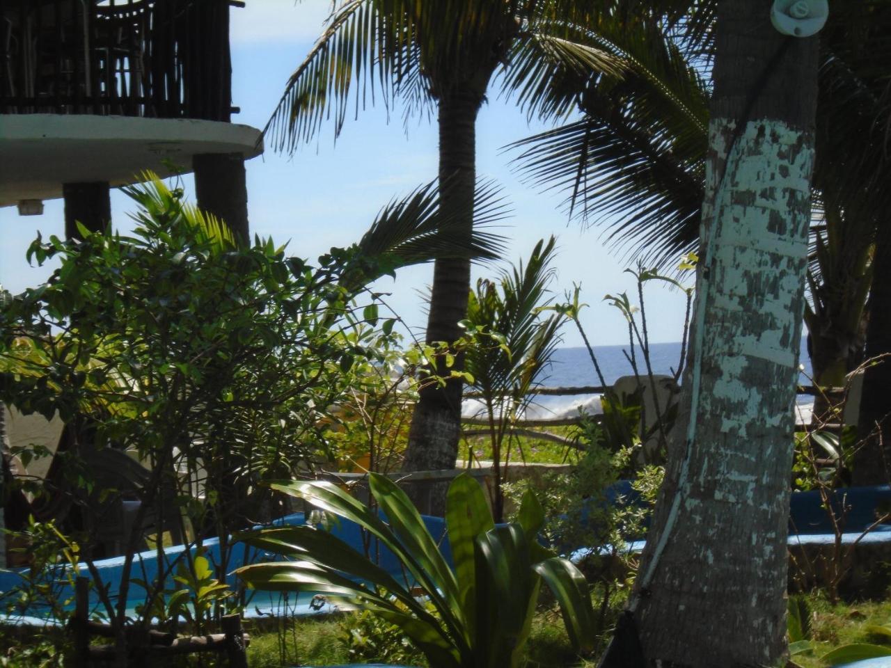 Marbella Eco Lodge มอนเตริโก ภายนอก รูปภาพ