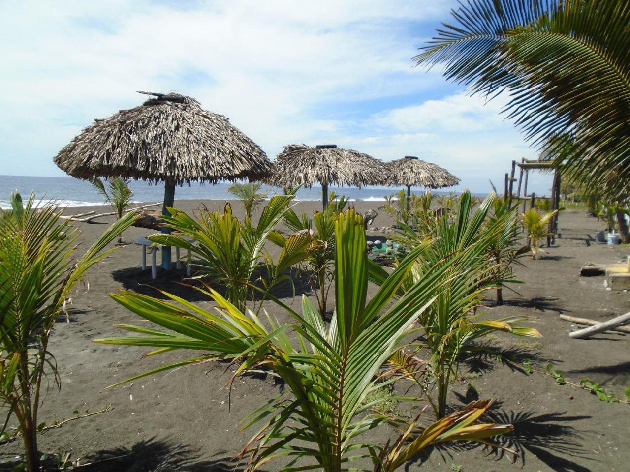 Marbella Eco Lodge มอนเตริโก ภายนอก รูปภาพ